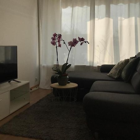 Bel Appartement Near Bale Mulhouse Airport Saint-Louis  Eksteriør bilde
