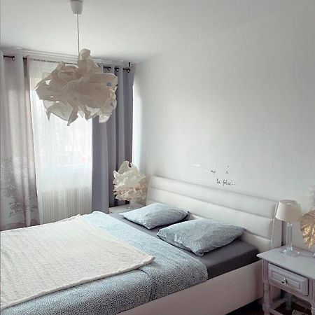 Bel Appartement Near Bale Mulhouse Airport Saint-Louis  Eksteriør bilde