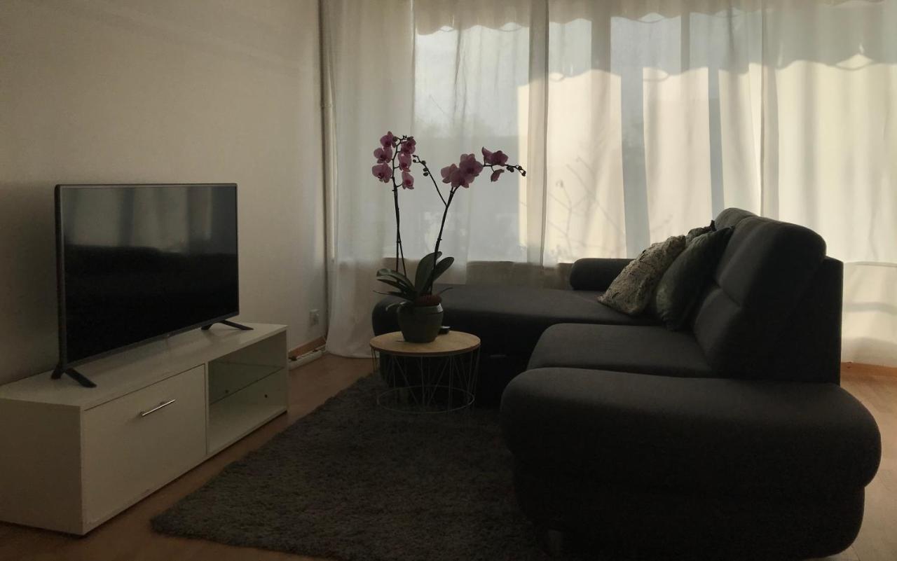 Bel Appartement Near Bale Mulhouse Airport Saint-Louis  Eksteriør bilde