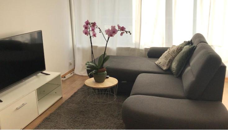 Bel Appartement Near Bale Mulhouse Airport Saint-Louis  Eksteriør bilde
