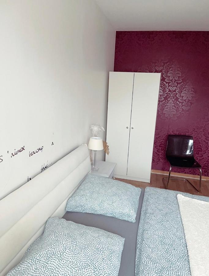 Bel Appartement Near Bale Mulhouse Airport Saint-Louis  Eksteriør bilde