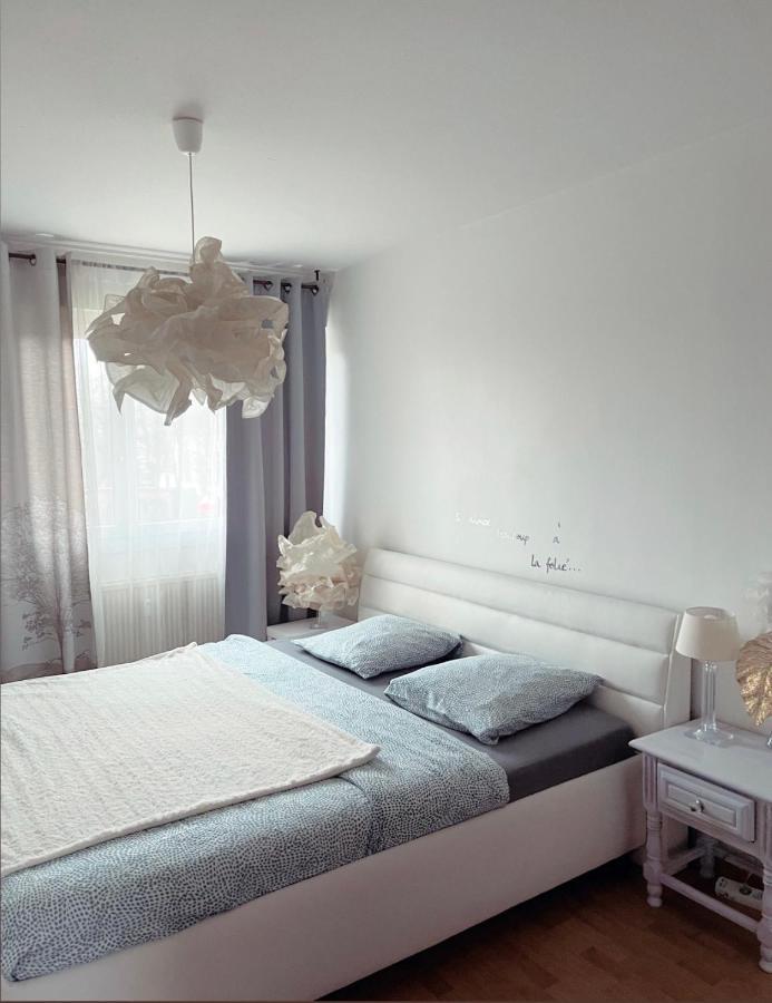 Bel Appartement Near Bale Mulhouse Airport Saint-Louis  Eksteriør bilde