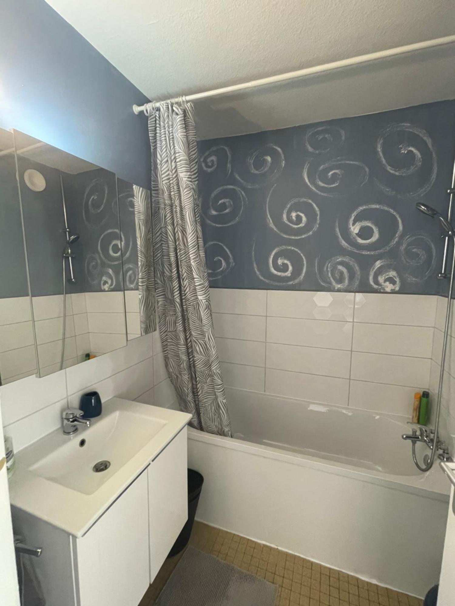 Bel Appartement Near Bale Mulhouse Airport Saint-Louis  Eksteriør bilde