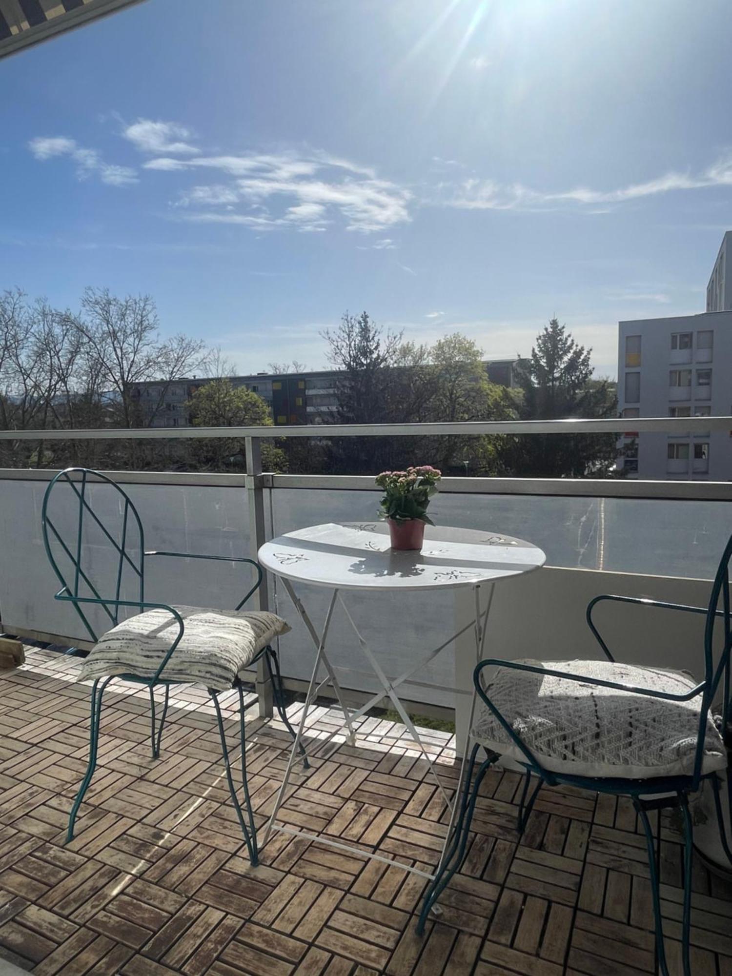 Bel Appartement Near Bale Mulhouse Airport Saint-Louis  Eksteriør bilde