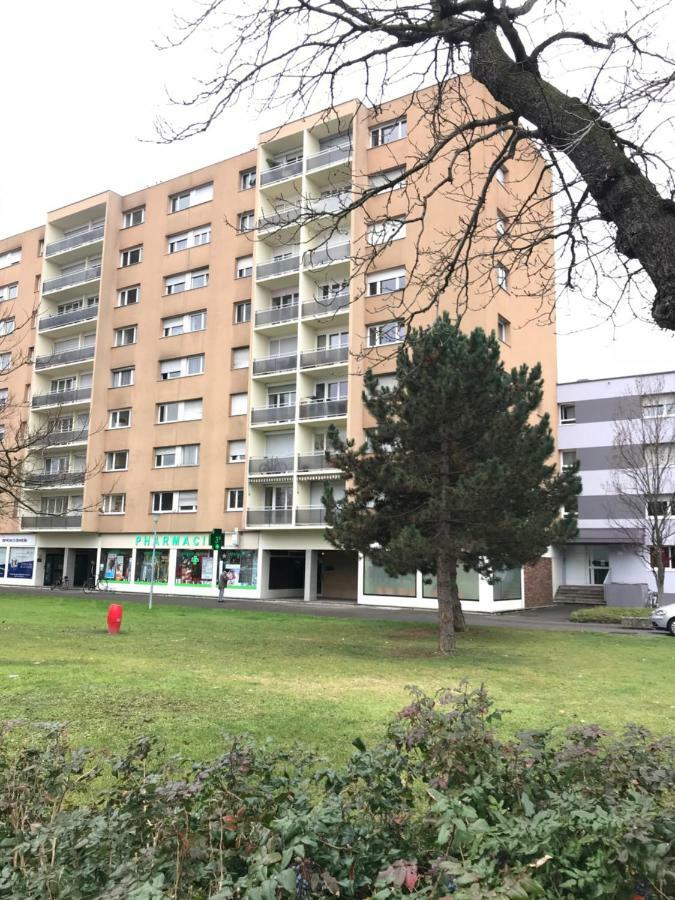 Bel Appartement Near Bale Mulhouse Airport Saint-Louis  Eksteriør bilde
