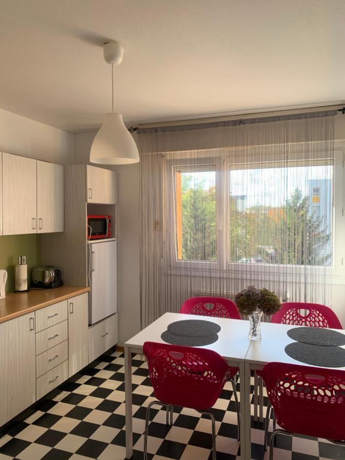 Bel Appartement Near Bale Mulhouse Airport Saint-Louis  Eksteriør bilde